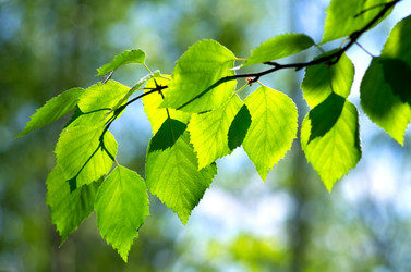 Similar image 706522