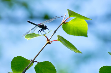 Similar image 706523