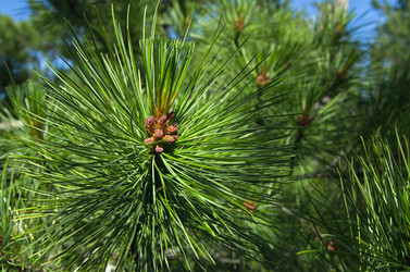 Similar image 706524