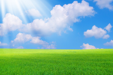 Similar image 706525