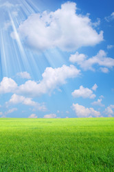 Similar image 706526