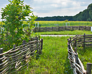 Similar image 706527