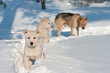 Similar image 706529