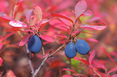 Similar image 706532