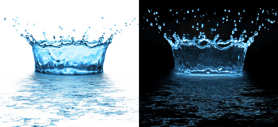 Similar image 706538