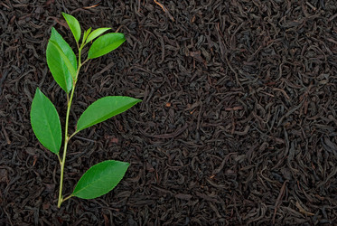 Similar image 706550