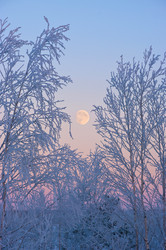 Similar image 706575