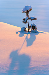 Similar image 706582