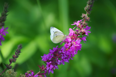 Similar image 706601