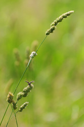 Similar image 706603