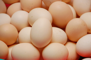 Similar image 706607