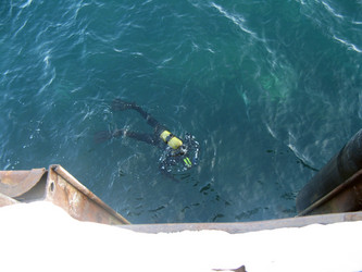 Similar image 706621