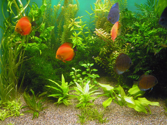 Similar image 706624