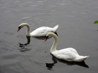 Similar image 706629