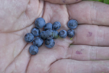 Similar image 706677