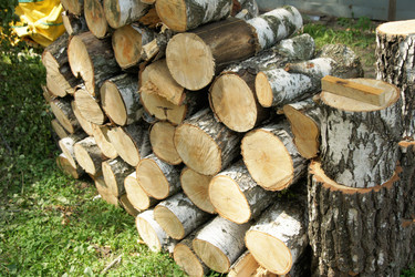 Similar image 706704