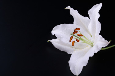 Similar image 706705