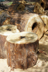 Similar image 706713