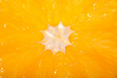 Similar image 706738