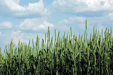 Similar image 706839