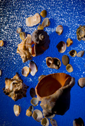 Similar image 707129