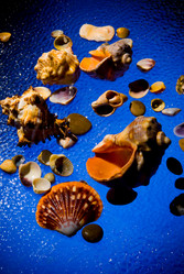 Similar image 707131