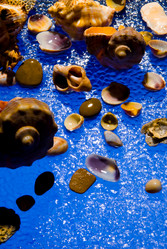 Similar image 707132