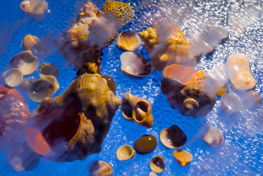 Similar image 707133