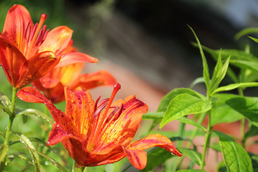 Similar image 707168