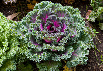 Similar image 707172