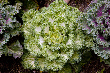 Similar image 707173