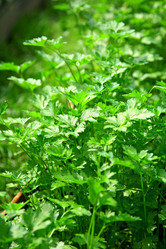 Similar image 707196