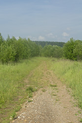 Similar image 707197