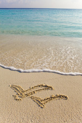 Similar image 707206