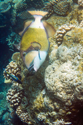 Similar image 707227