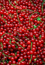 Similar image 707229