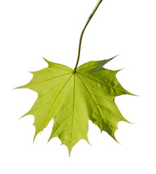 Similar image 707282