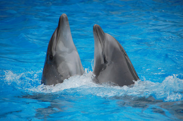 Similar image 707296