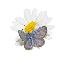 Similar image 707319