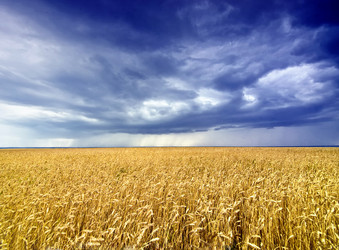 Similar image 707354