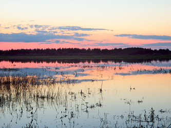 Similar image 707368