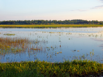 Similar image 707372