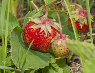 Similar image 707378