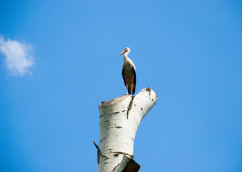 Similar image 707524