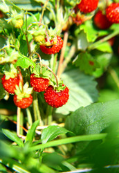 Similar image 707551