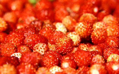 Similar image 707557