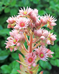 Similar image 707577