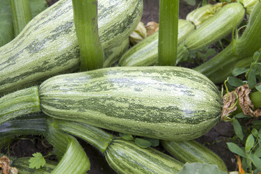 Similar image 707601