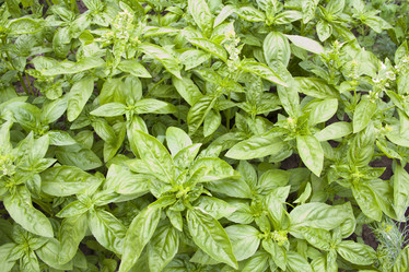 Similar image 707602