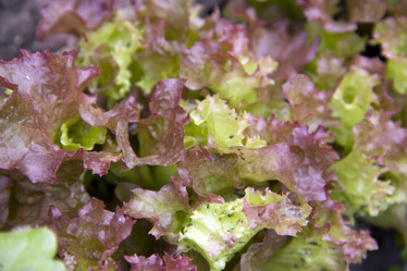 Similar image 707604